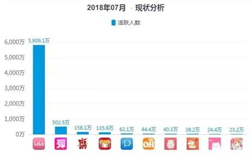 哔哩哔哩 以用户生态为核心，战略性亏损下的未来与大数据营销机遇